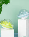 Pet tumbler ball toys